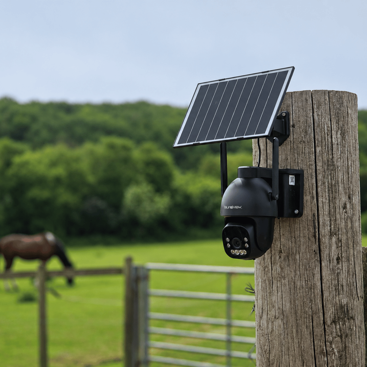 RuralView Solar 4G security Camera attached to a wooden post with a horse in the background.